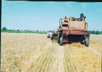 Din activitatea grupului vizat