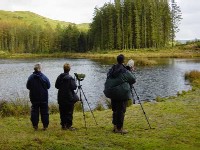 Eco-turism in Tara Galilor
