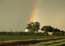 Suprafata medie a fermelor din tarile UE