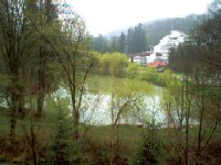 Moneasa – „Perla Apusenilor”