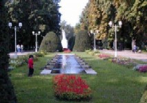 In cautarea frumusetii pierdute