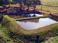 Amenajarile piscicole