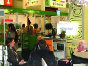 Stirile zile de 22.02.2008