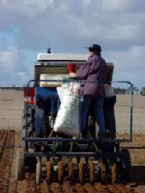 Stirile zilei de 3.04.2008