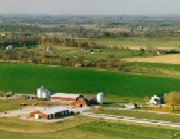 Mangementul unei exploatatii zootehnice