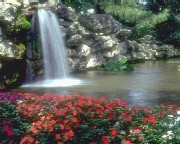 Trupul fin al sufletului omenesc