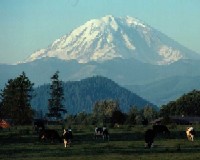 Asociatia comunala de pasunat