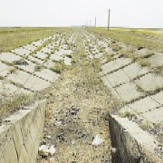 Stirile zile de 17.03.2008