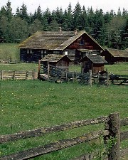 Stirile zile de 12.03.2008