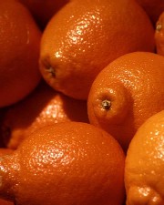 Stirile zile de 10.03.2008