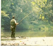 Stirile zilei de 19.04.2008