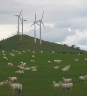 Stirile zilei de 24.04.2008