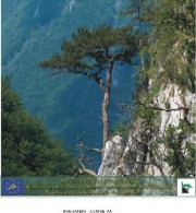 Stirile zilei de 27.05.2008