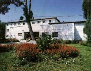 Porci obtinuti la Romsuintest Peris.