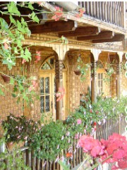 Stirile zilei de 5.05.2008