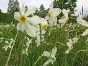 Stirile zilei de 24.05.2008