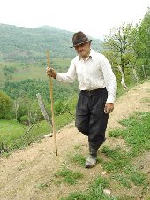 Stirile zilei de 2.05.2008