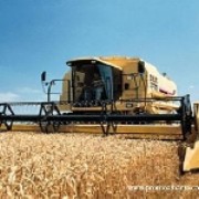 Stirile zilei de 25.06.2008