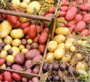 Stirile zilei de 24.06.2008