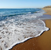 Starea deplorabila a pescuitului romanesc la Marea Neagra