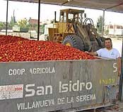 Stirile zilei de 30.06.2008