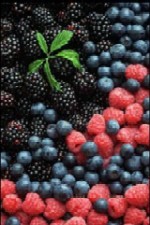 Etichetarea legumelor si fructelor