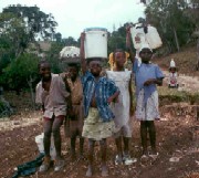 Stirile zilei de 4.06.2008