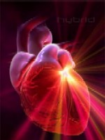 Calea catre slobozirea inimii