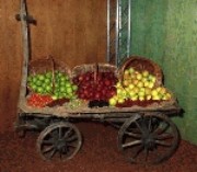 1interpoma.jpg 1interpoma.jpg