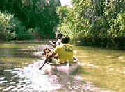 1rmures.jpg 1rmures.jpg