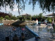 1stdorobant.jpg 1stdorobant.jpg