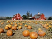 Stirile zilei de 18.06.2008