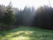 Ce sa facem dimineata?