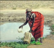 apapotabila.jpg apapotabila.jpg