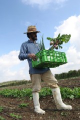 Repausul sufletului in munca cinstita