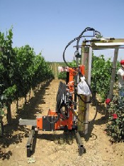 Expozitia Internationala al Viei si vinului „Campo ENOVITIS”