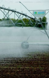 Utilizarea durabila a apei in irigatii