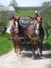 Agroturismul, o sansa, in criza actuala din sectorul agricol