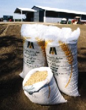 martonvaras2.jpg martonvaras2.jpg