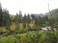 Rica Venturiano si agrementul rural