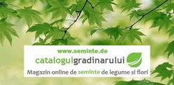 Seminte de legume si flori direct din Germania