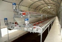 Dotari zootehnice pentru iepuri de carne