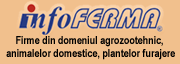 infoferma, catalog online cu firme