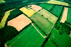 Rolul asolamentului in agricultura