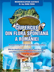 Ciupercile din flora spontana a Romaniei