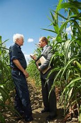 Sprijinirea dezvoltarii domeniului agro-alimentar