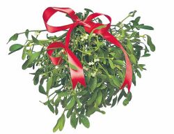 Vascul, un simbol romanesc al Craciunului