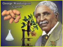 Succesul agronomului George Washington Carver