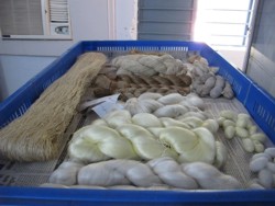 In anul 1700 Tara Romaneasca devenise exportatoare de matase