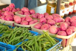 Tipologia lantului scurt de distributie a productiei agricole in Italia